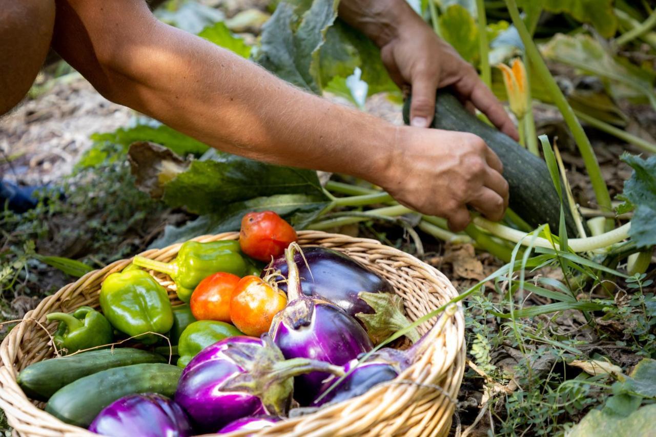 Eco Village Baia Delle Ginestre 툴라다 외부 사진