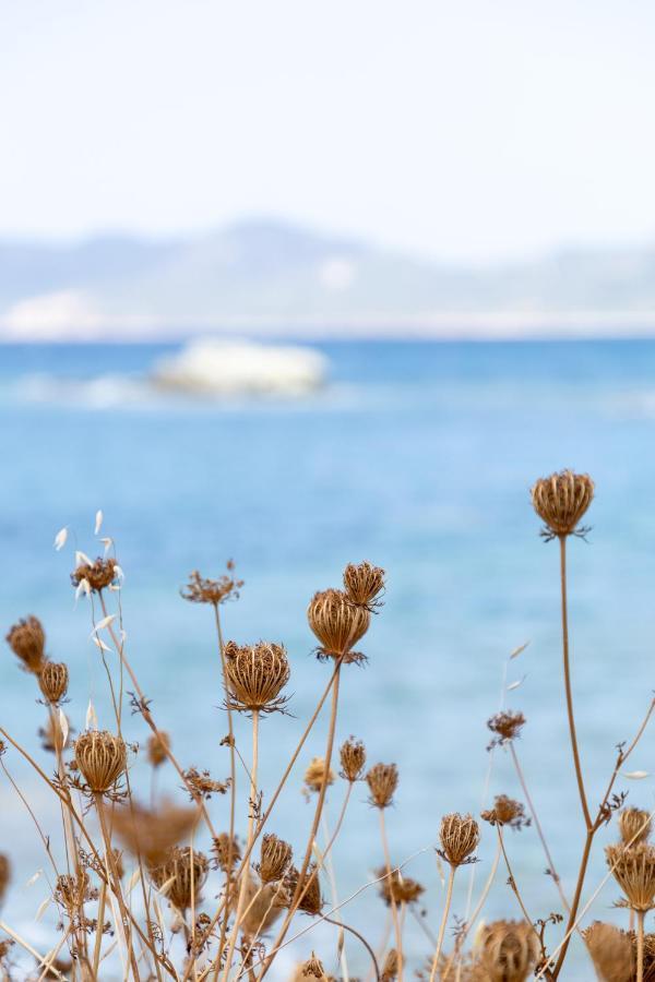 Eco Village Baia Delle Ginestre 툴라다 외부 사진