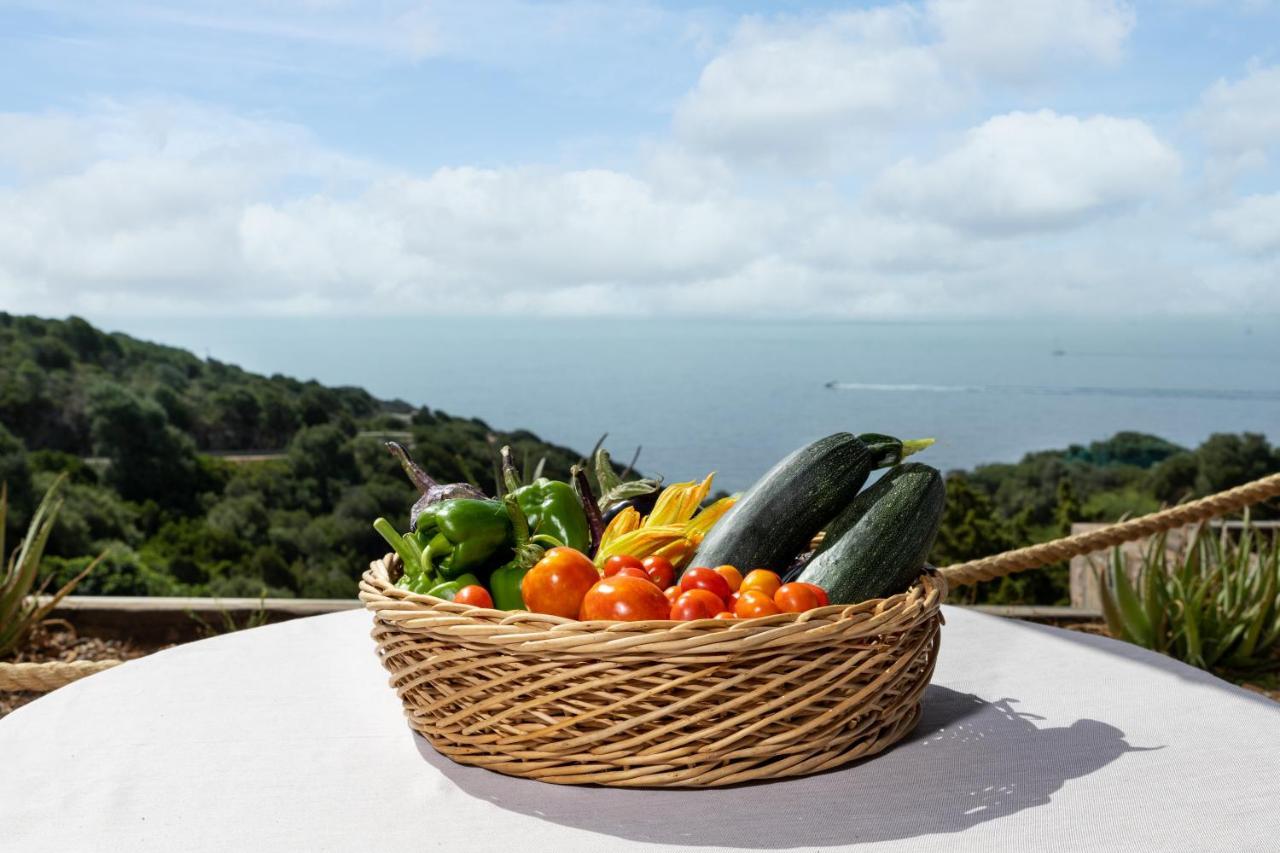 Eco Village Baia Delle Ginestre 툴라다 외부 사진