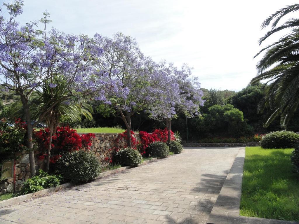 Eco Village Baia Delle Ginestre 툴라다 객실 사진