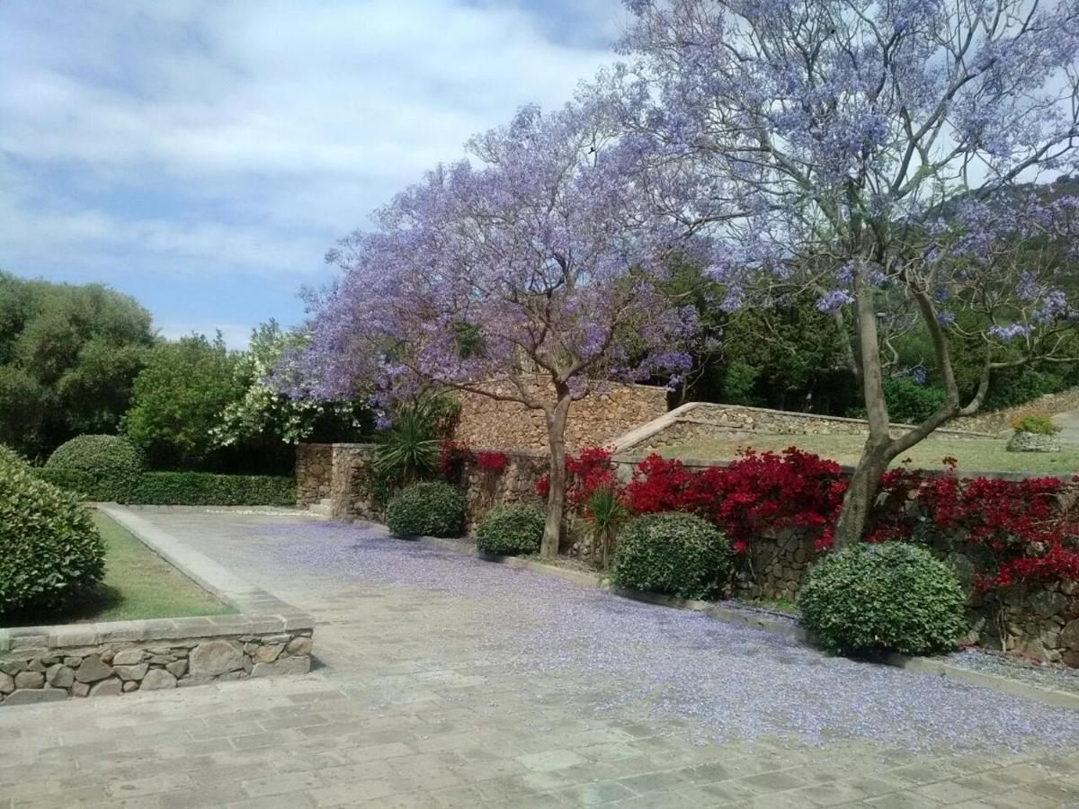 Eco Village Baia Delle Ginestre 툴라다 외부 사진